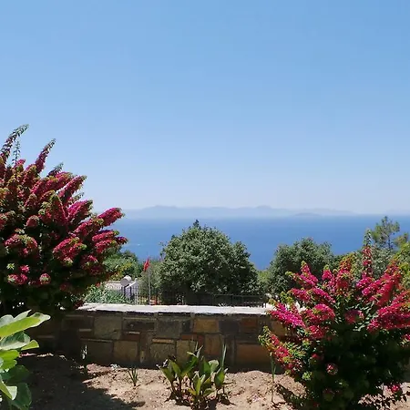Delphin Bodrum