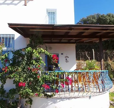 Villa Delphin Bodrum
