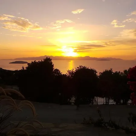 Villa Delphin Bodrum