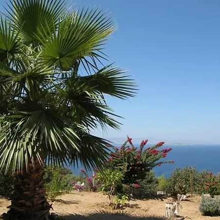 Delphin Villa
