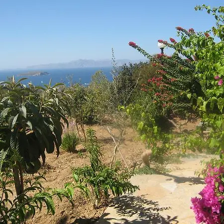 Villa Delphin