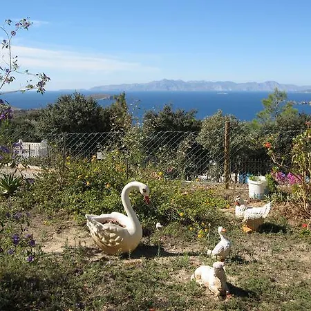 Delphin * Bodrum